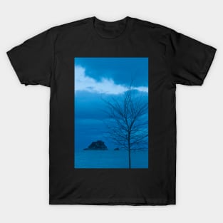 Islet off Kaiteriteri T-Shirt